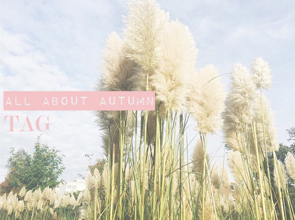 all_about_autumn_tag01